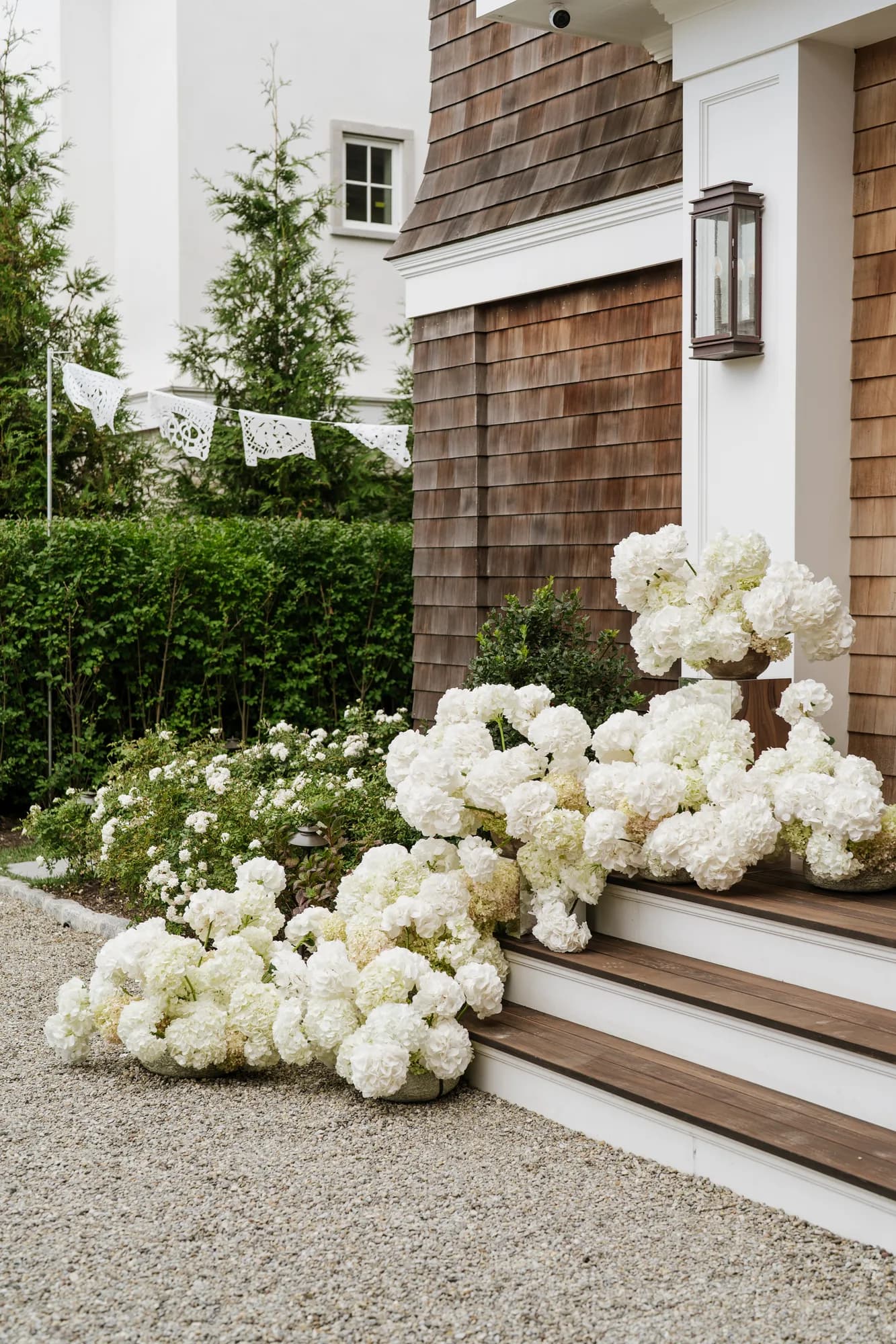 Side view of the hydrangea steps, white paper banners strung above a hedge and white roses in bloom