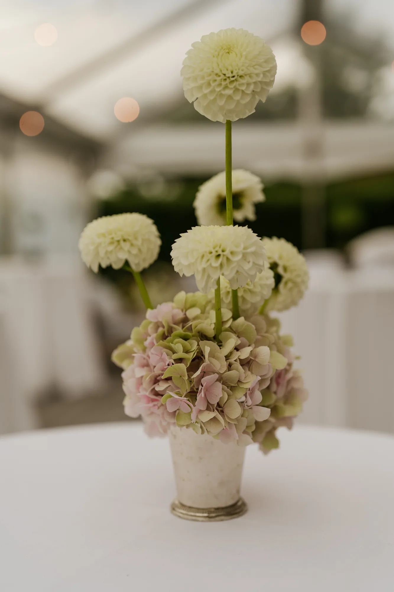 Cream pompon dahlias on tall stems above a mound of faded blush hydrangea in a silver julep cup