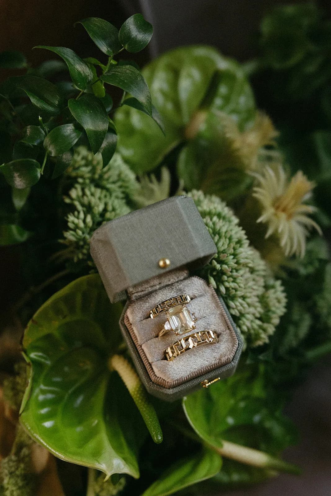 Gold rings in a sage velvet box nestled among green anthurium, clustered green florets, and fuzzy Phylica blooms