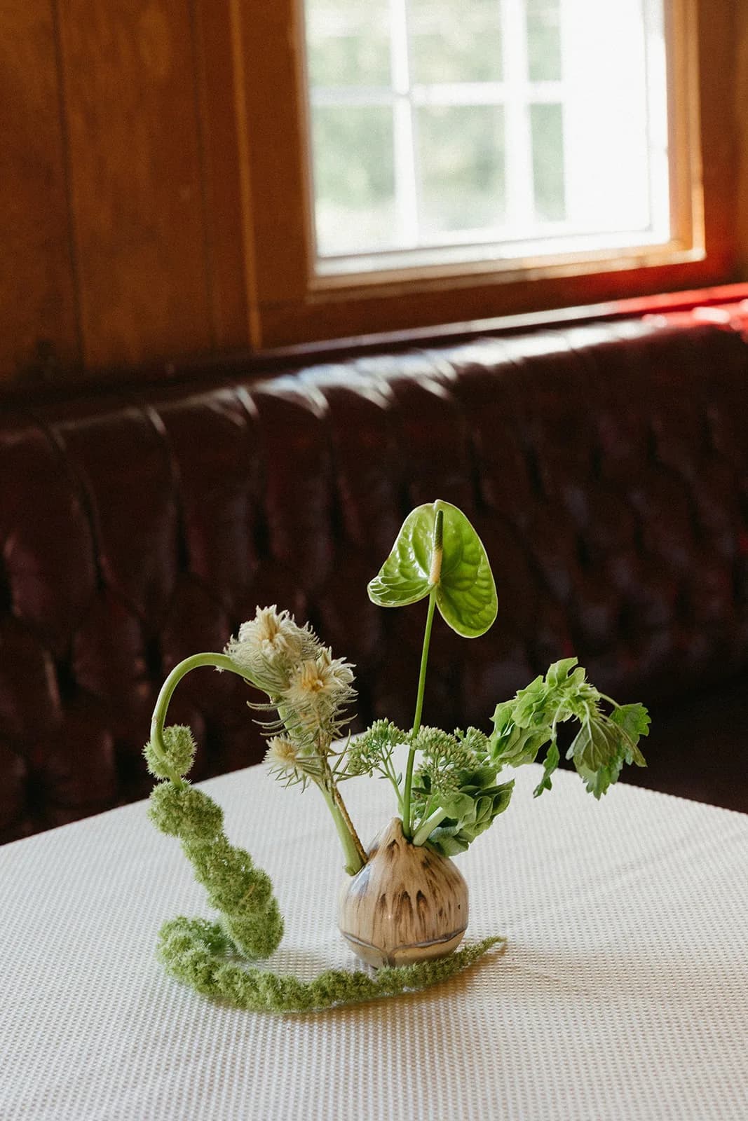 Bud vase arrangement with a single green anthurium, Phylica, bells of Ireland, and amaranthus curling onto the tablecloth