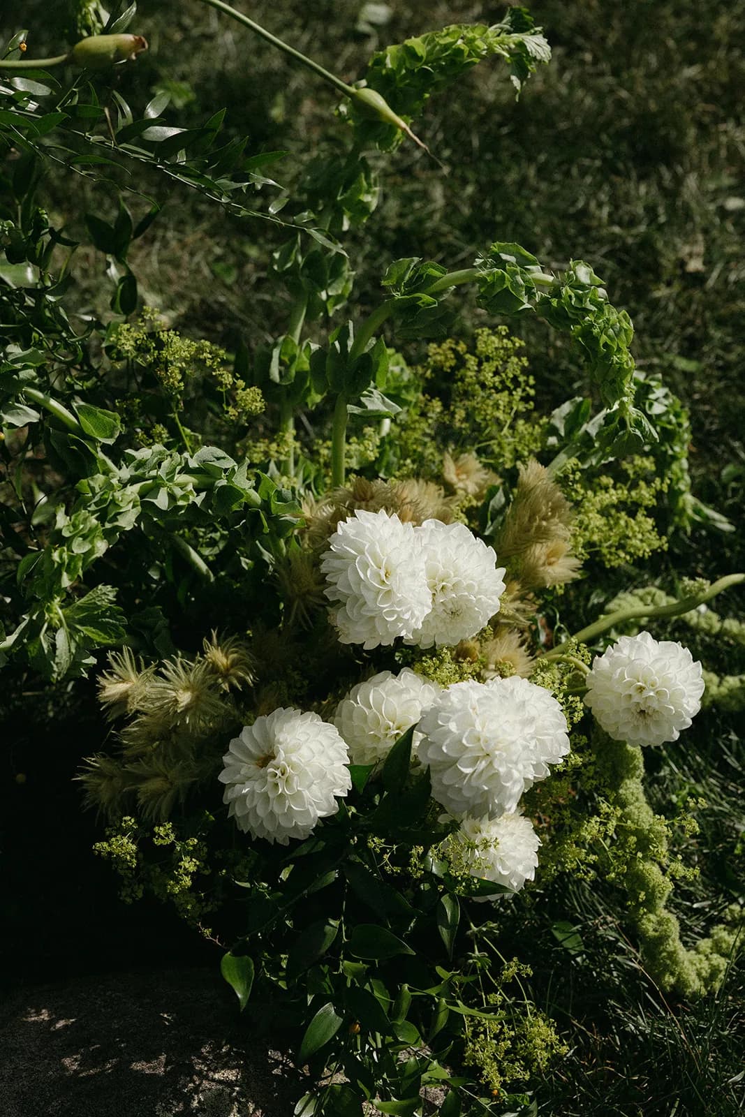 Deconstructed ceremony arrangement on the grass with white ball dahlias, fuzzy Phylica, bells of Ireland, and lady's mantle
