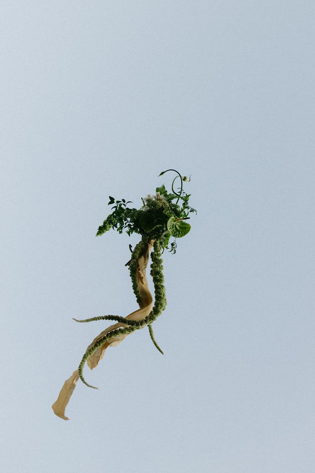 Bridal flowers tossed midair against a pale sky, trailing amaranthus and gold ribbon streaming below a green anthurium