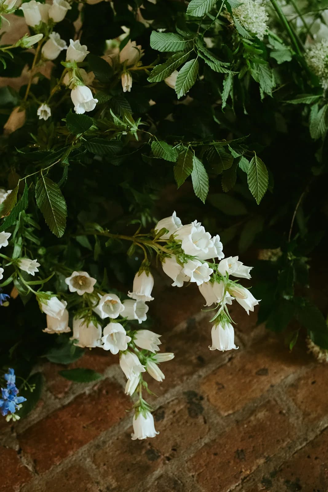 White campanula bells cascade over a brick floor amid dark foliage at the base of the ceremony installation