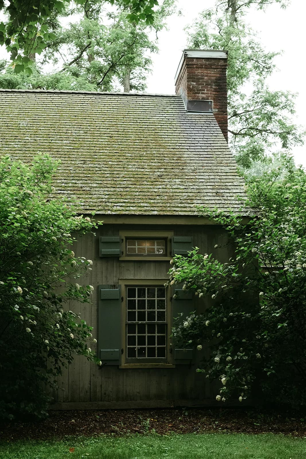 Weathered shingled cottage with a mossy roof, brick chimney and green shutters framed by white-flowering viburnum shrubs
