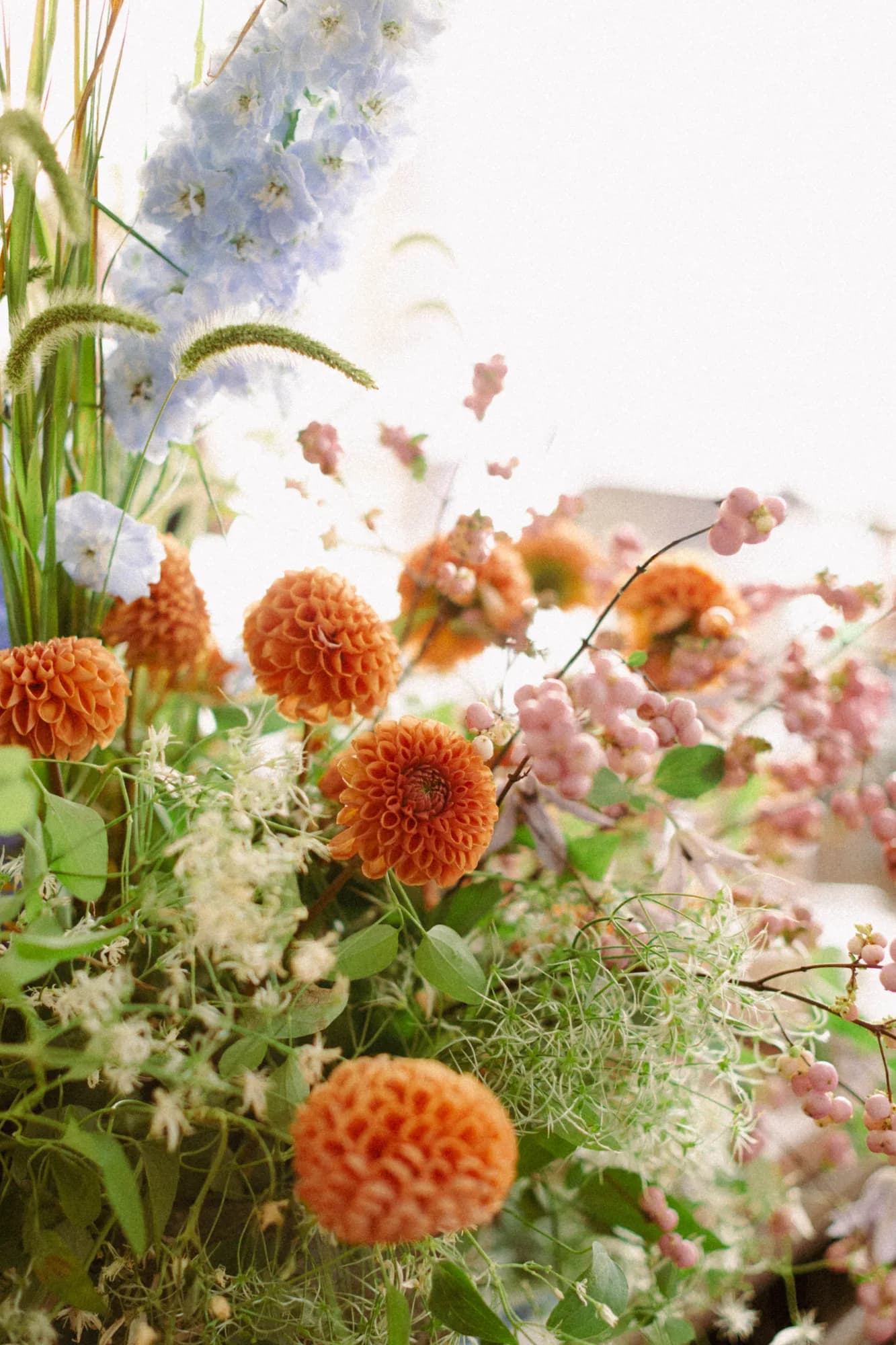 Backlit detail of orange ball dahlias, pale blue delphinium, pink snowberry and grasses in a ceremony arrangement