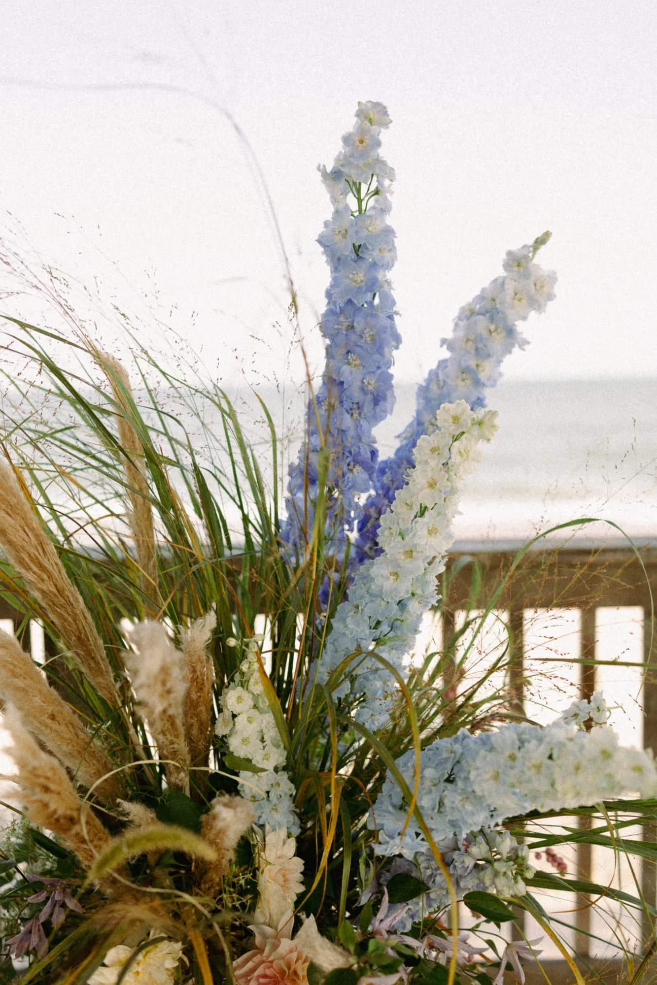 Blue and white delphinium spires rise with pampas and grasses against a deck railing and the sea