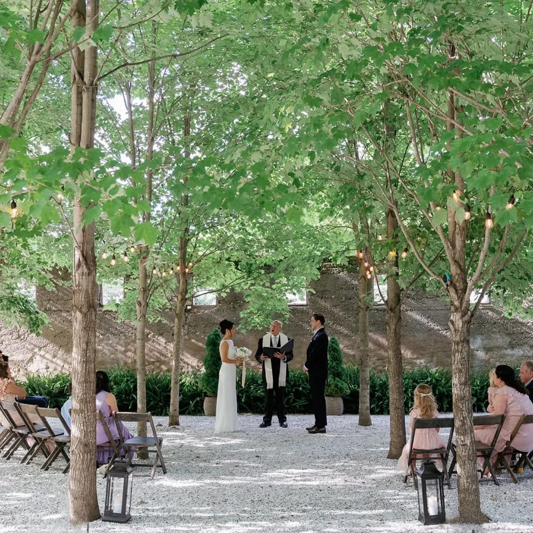Trisha and Jim stand before the officiant under a canopy of young maples, guests seated on folding chairs across the gravel